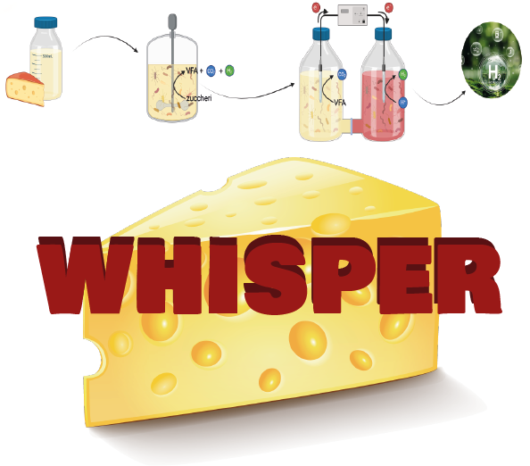 logo Whisper